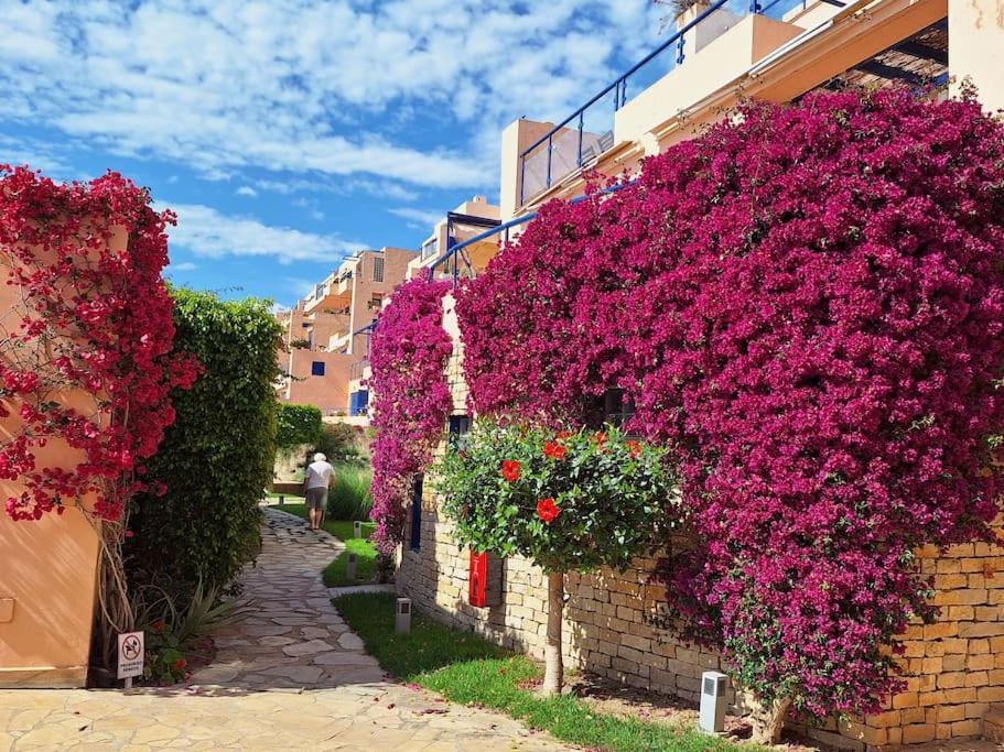 Sea View Cozy Apartment La Tanita 莫哈卡尔 外观 照片